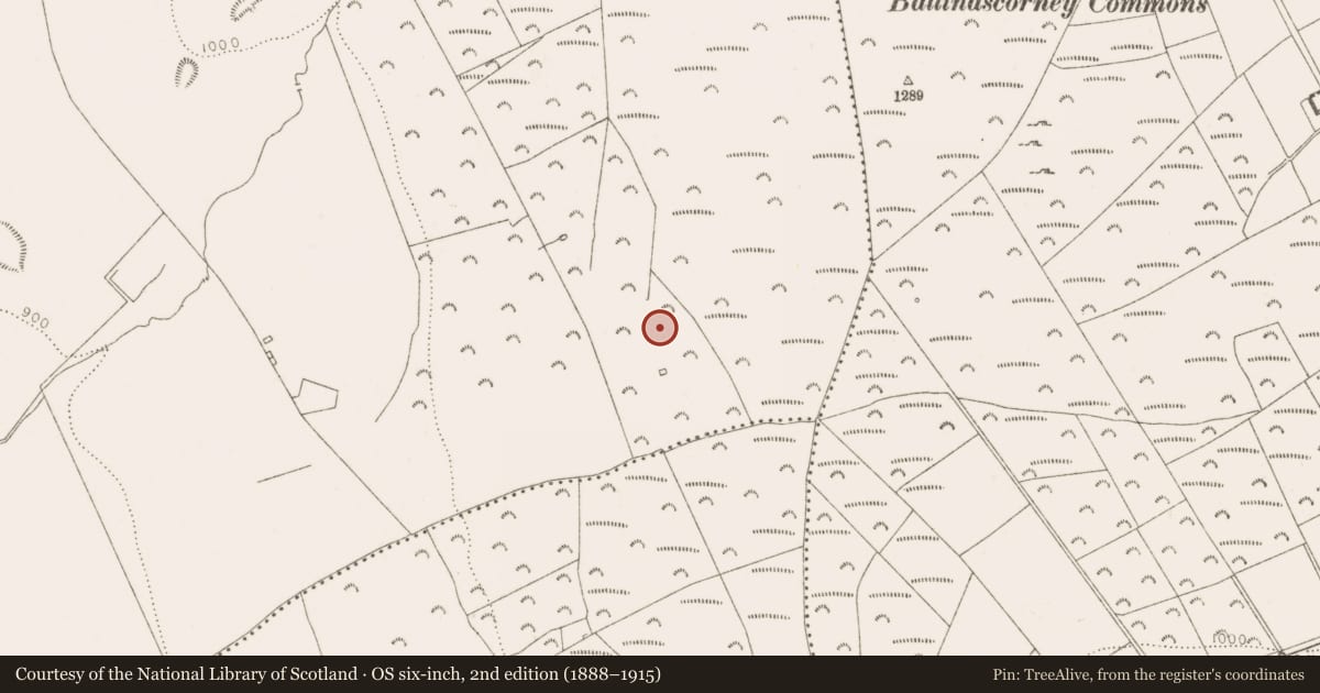 Ordnance Survey six-inch map, 2nd edition (1888–1915) covering the location of Mound, Mountseskin, County Dublin, with a pin at the register's coordinates