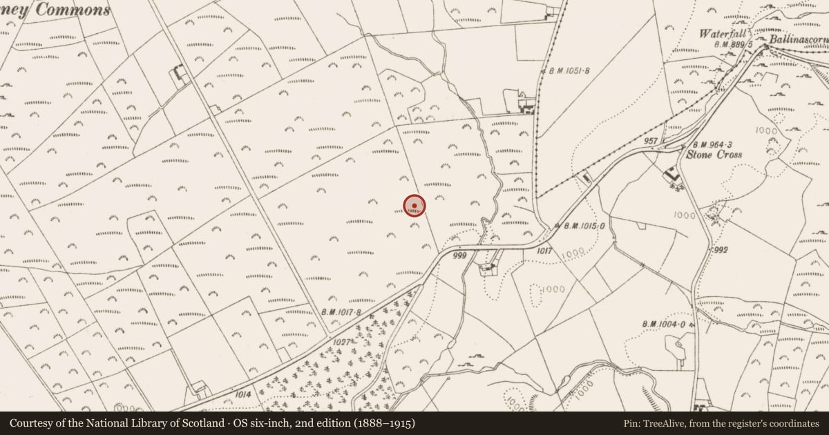 Ordnance Survey six-inch map, 2nd edition (1888–1915) covering the location of Enclosure, Ballinascorney Upper, County Dublin, with a pin at the register's coordinates