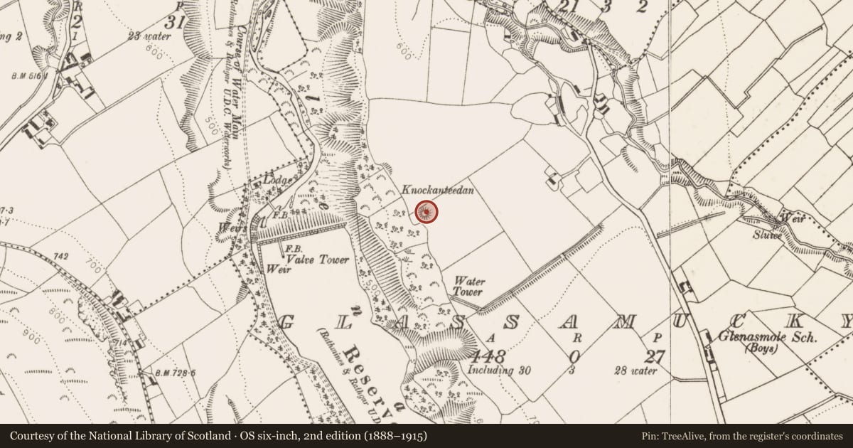 Ordnance Survey six-inch map, 2nd edition (1888–1915) covering the location of Mound, Glassamucky, County Dublin, with a pin at the register's coordinates