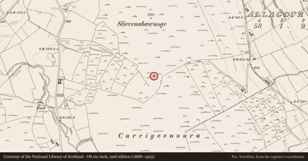 Ordnance Survey six-inch map, 2nd edition (1888–1915) covering the location of Barrow - ring-barrow, Ballinascorney Upper, County Dublin, with a pin at the register's coordinates