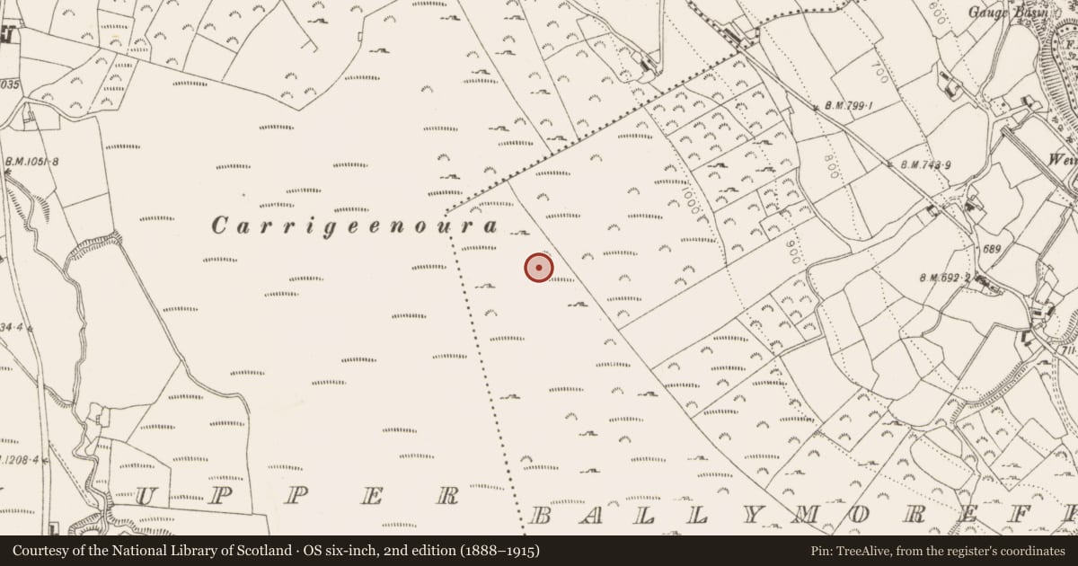 Ordnance Survey six-inch map, 2nd edition (1888–1915) covering the location of Ringfort - cashel, Ballymorefinn, County Dublin, with a pin at the register's coordinates