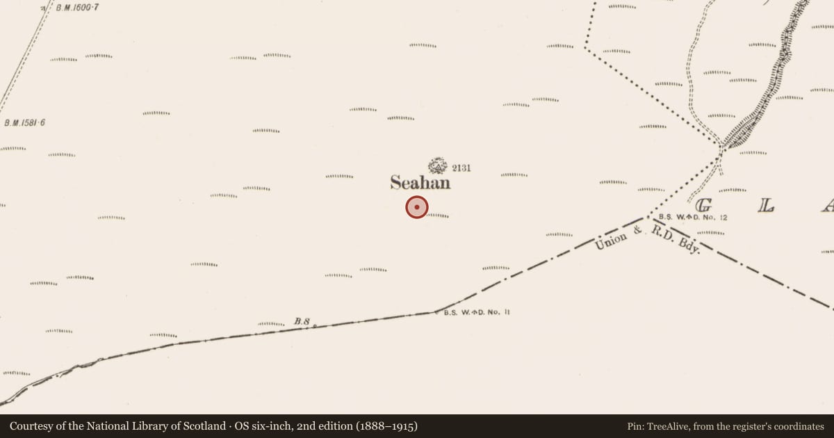 Ordnance Survey six-inch map, 2nd edition (1888–1915) covering the location of Megalithic tomb - passage tomb, Ballinascorney Upper, County Dublin, with a pin at the register's coordinates