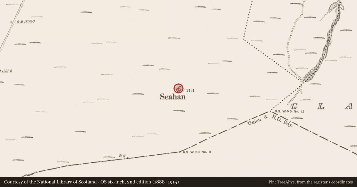 Ordnance Survey six-inch map, 2nd edition (1888–1915) covering the location of Megalithic tomb - passage tomb, Ballinascorney Upper, County Dublin, with a pin at the register's coordinates