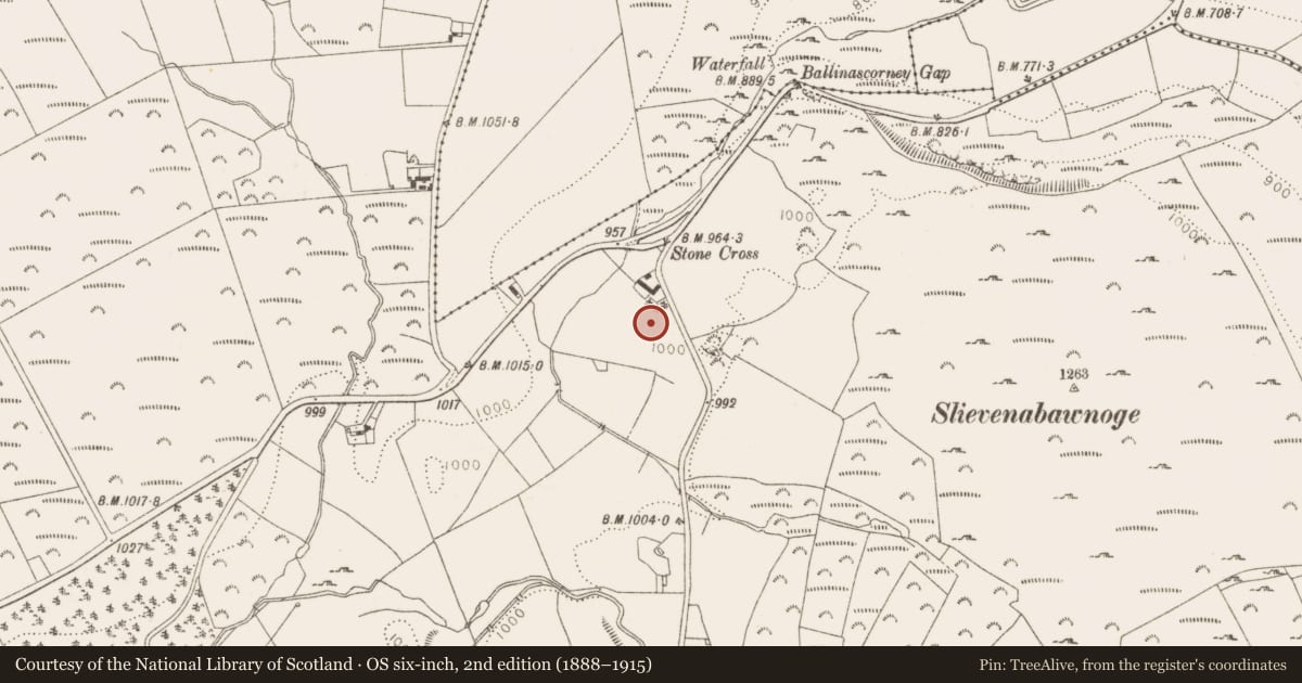 Ordnance Survey six-inch map, 2nd edition (1888–1915) covering the location of Cairn - unclassified, Ballinascorney Upper, County Dublin, with a pin at the register's coordinates