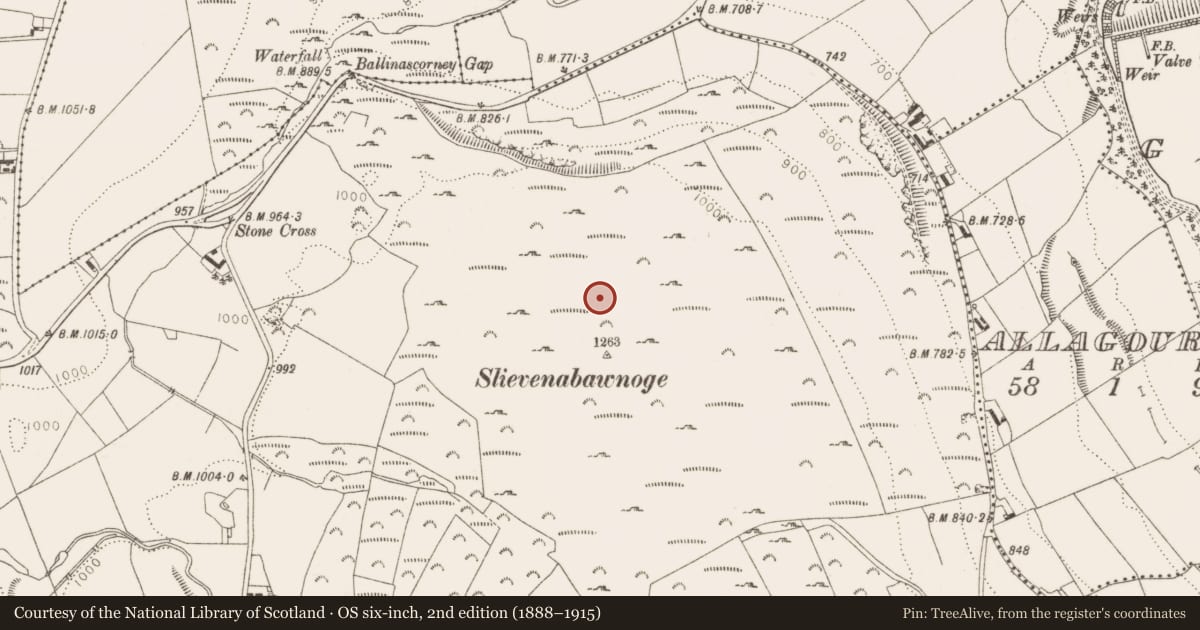 Ordnance Survey six-inch map, 2nd edition (1888–1915) covering the location of Barrow - unclassified, Ballinascorney Upper, County Dublin, with a pin at the register's coordinates