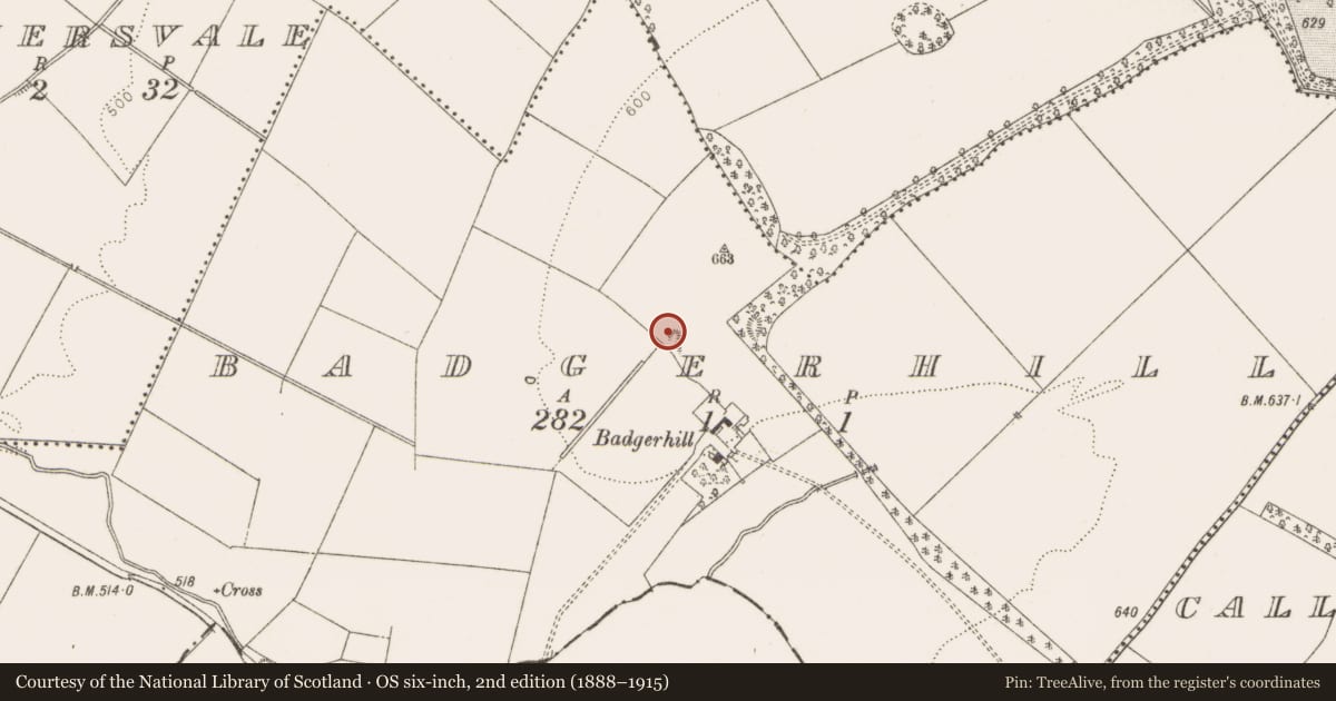Ordnance Survey six-inch map, 2nd edition (1888–1915) covering the location of Ringfort - unclassified, Badgerhill, County Dublin, with a pin at the register's coordinates