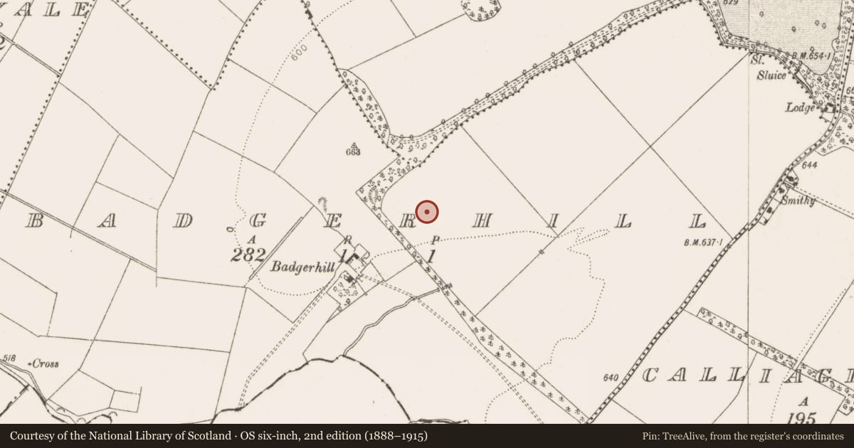 Ordnance Survey six-inch map, 2nd edition (1888–1915) covering the location of Cairn - unclassified, Badgerhill, County Dublin, with a pin at the register's coordinates
