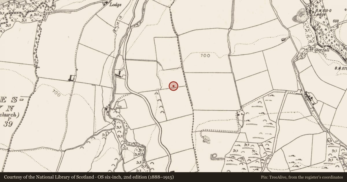 Ordnance Survey six-inch map, 2nd edition (1888–1915) covering the location of Cist, Cruagh, County Dublin, with a pin at the register's coordinates