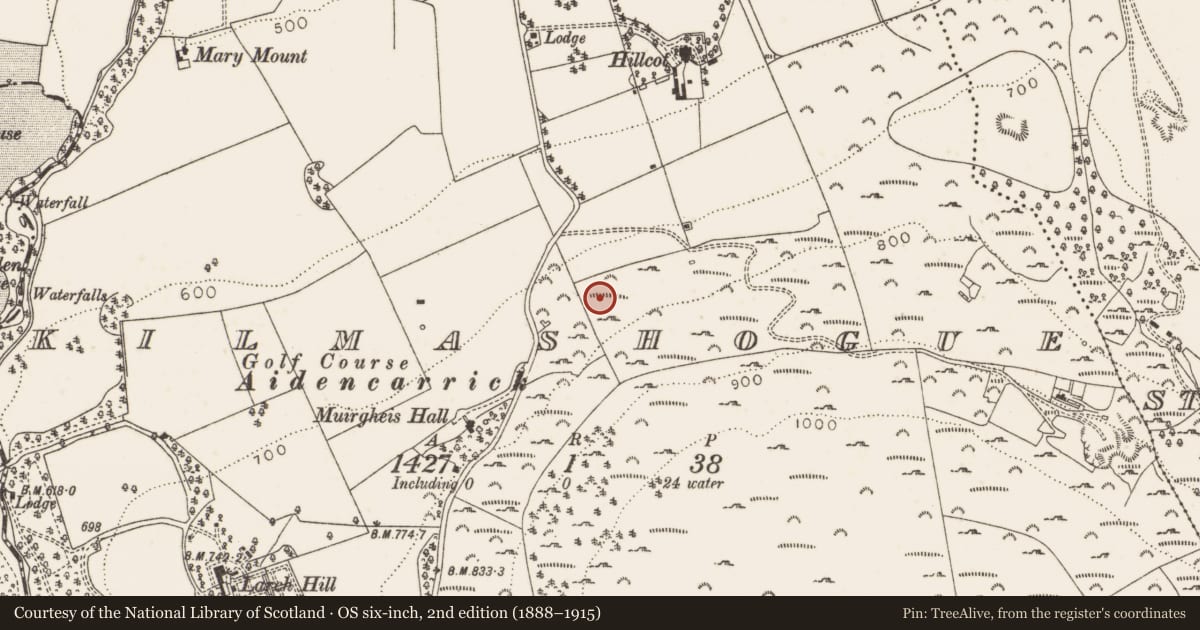 Ordnance Survey six-inch map, 2nd edition (1888–1915) covering the location of Megalithic tomb - wedge tomb, Kilmashogue, County Dublin, with a pin at the register's coordinates