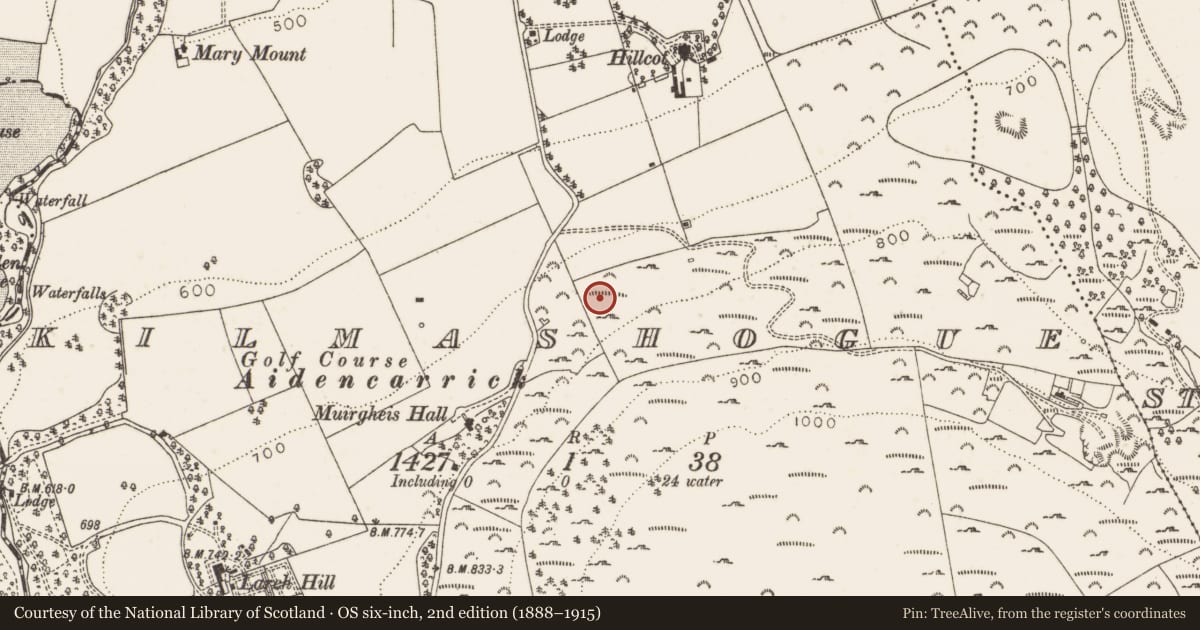 Ordnance Survey six-inch map, 2nd edition (1888–1915) covering the location of Cairn - unclassified, Kilmashogue, County Dublin, with a pin at the register's coordinates