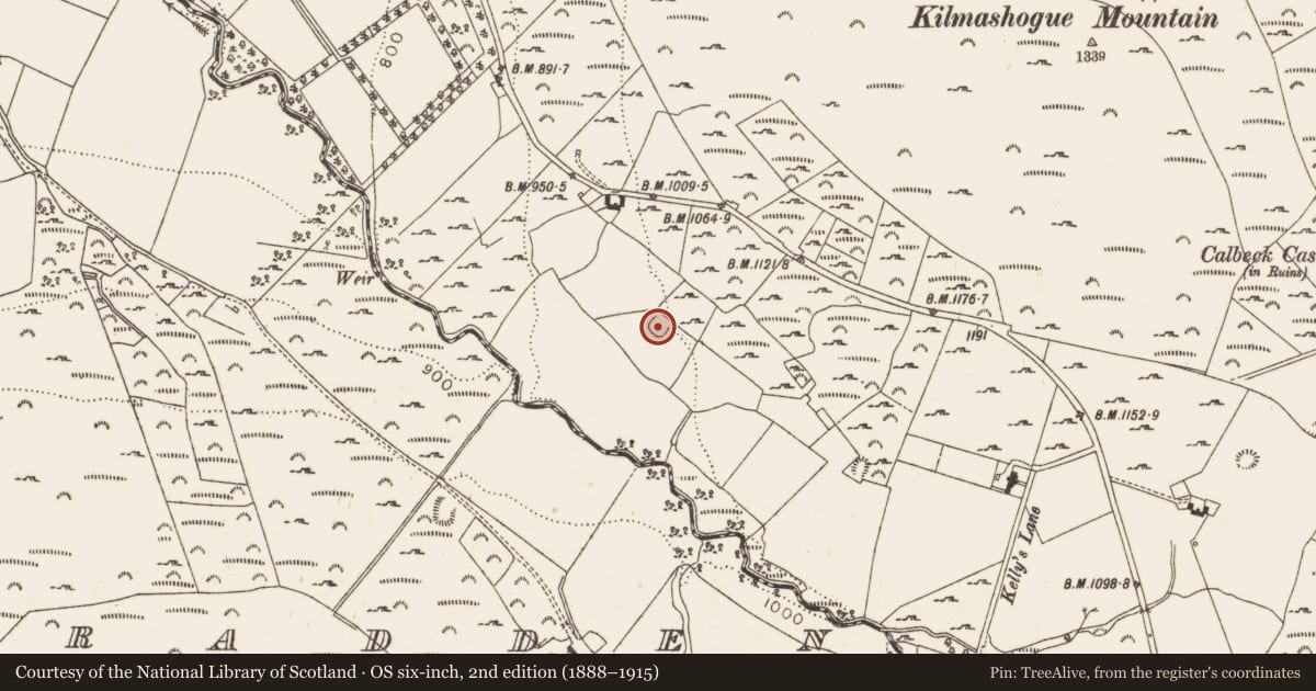 Ordnance Survey six-inch map, 2nd edition (1888–1915) covering the location of Ringfort - cashel, Kilmashogue, County Dublin, with a pin at the register's coordinates