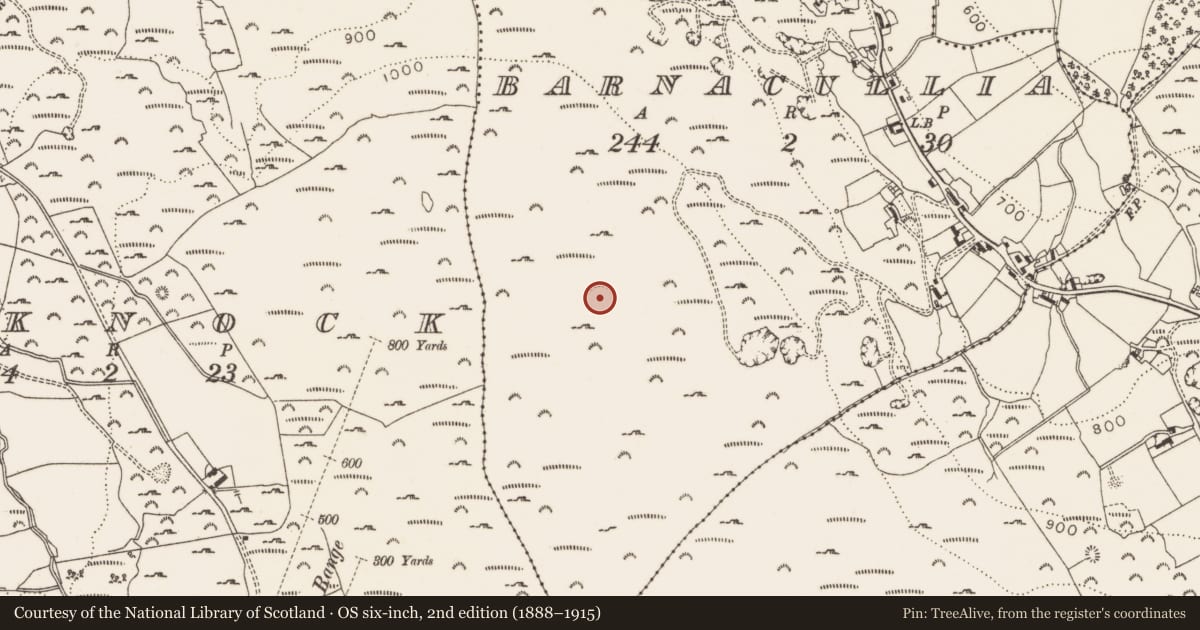 Ordnance Survey six-inch map, 2nd edition (1888–1915) covering the location of Enclosure, Barnacullia, County Dublin, with a pin at the register's coordinates