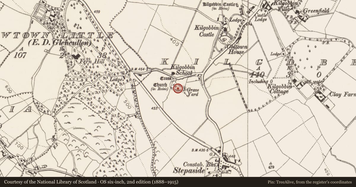 Ordnance Survey six-inch map, 2nd edition (1888–1915) covering the location of Ecclesiastical site, Kilgobbin, County Dublin, with a pin at the register's coordinates