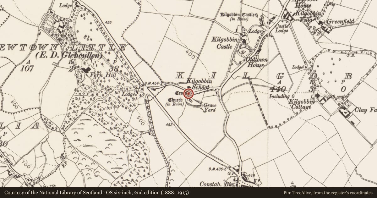 Ordnance Survey six-inch map, 2nd edition (1888–1915) covering the location of Cross - High cross, Kilgobbin, County Dublin, with a pin at the register's coordinates