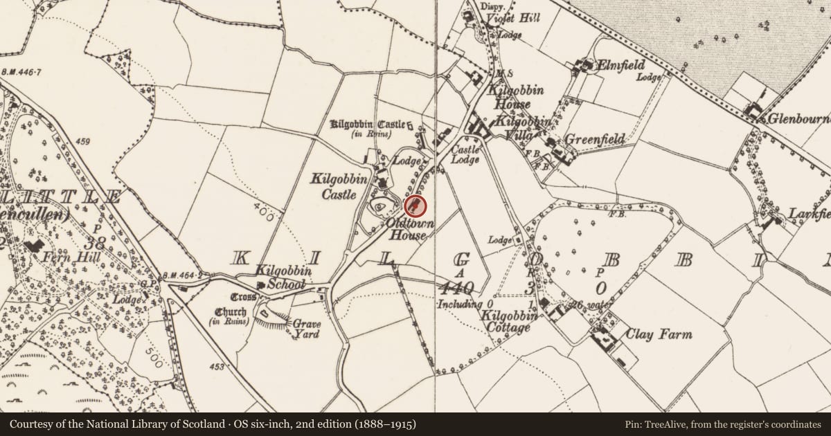 Ordnance Survey six-inch map, 2nd edition (1888–1915) covering the location of Inn, Kilgobbin, County Dublin, with a pin at the register's coordinates