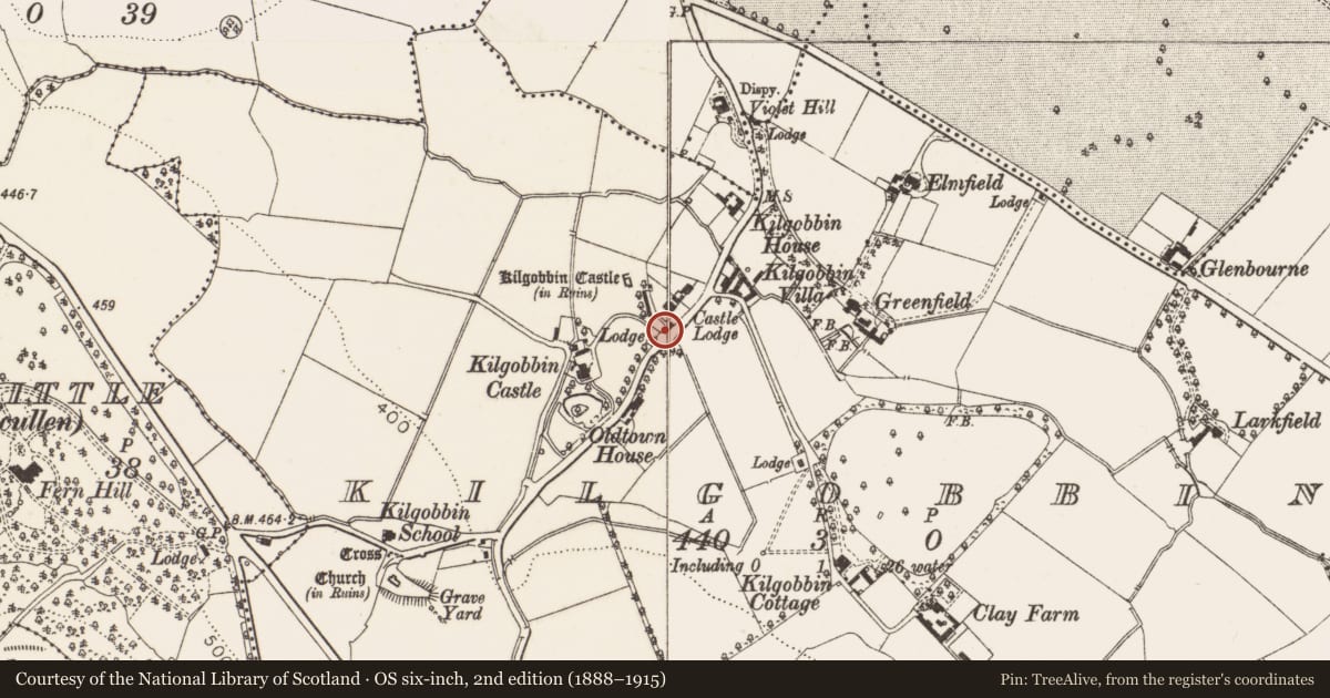 Ordnance Survey six-inch map, 2nd edition (1888–1915) covering the location of Cist, Kilgobbin, County Dublin, with a pin at the register's coordinates