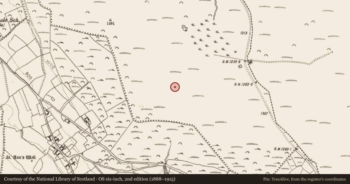 Ordnance Survey six-inch map, 2nd edition (1888–1915) covering the location of Cairn - unclassified, Piperstown, County Dublin, with a pin at the register's coordinates