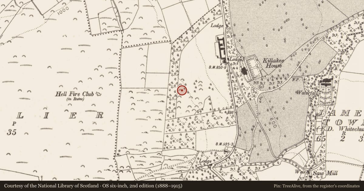 Ordnance Survey six-inch map, 2nd edition (1888–1915) covering the location of Standing stone, Killakee, County Dublin, with a pin at the register's coordinates