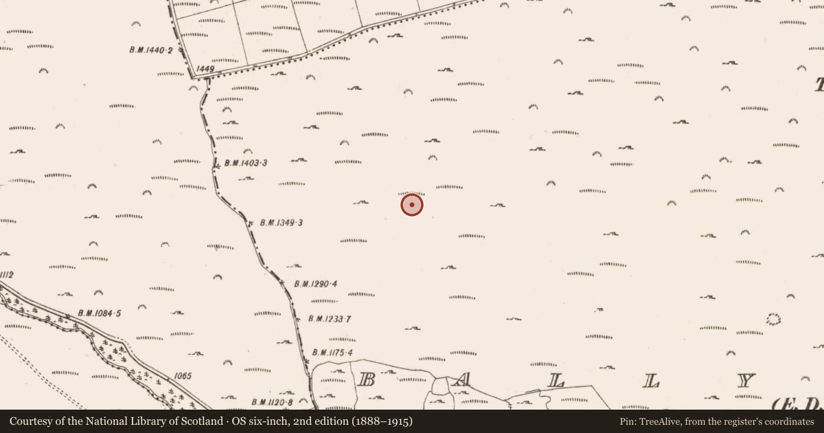 Ordnance Survey six-inch map, 2nd edition (1888–1915) covering the location of Enclosure, Ballybrack, County Dublin, with a pin at the register's coordinates