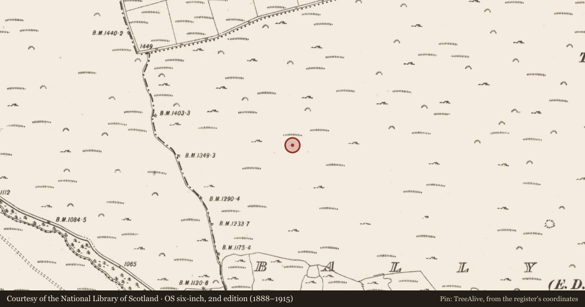 Ordnance Survey six-inch map, 2nd edition (1888–1915) covering the location of Field system, Ballybrack, County Dublin, with a pin at the register's coordinates
