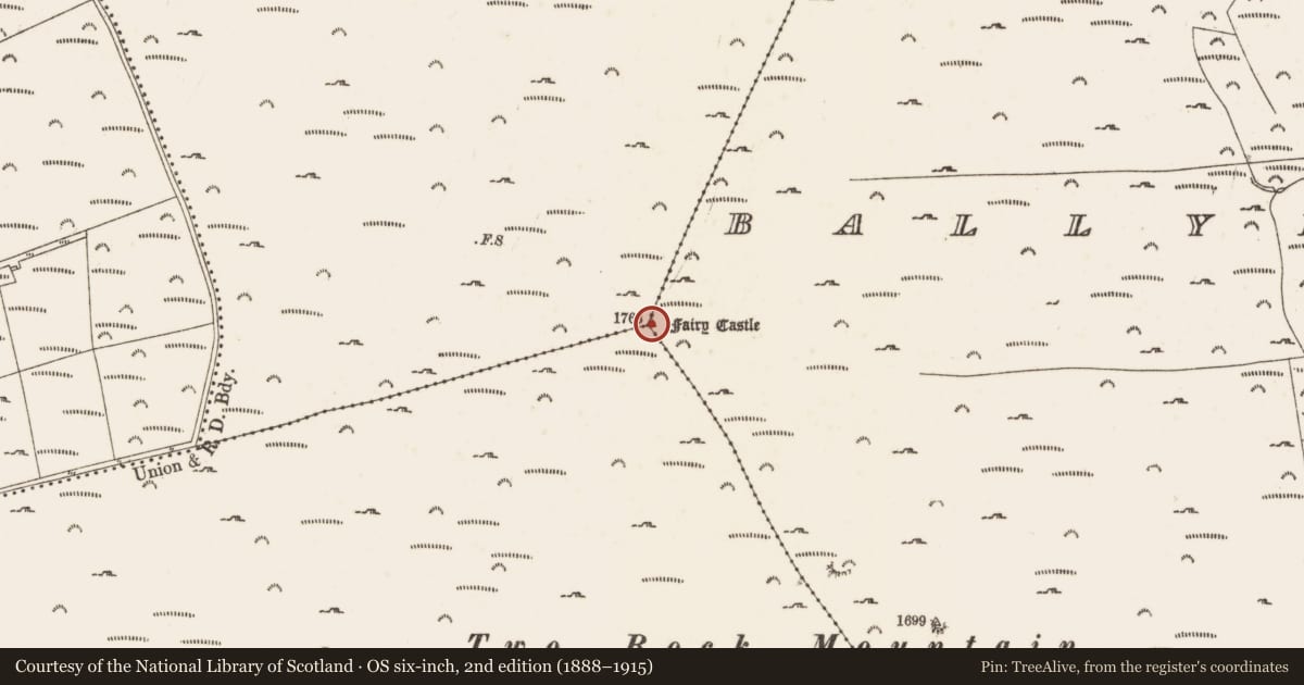 Ordnance Survey six-inch map, 2nd edition (1888–1915) covering the location of Megalithic tomb - passage tomb, County Dublin, with a pin at the register's coordinates