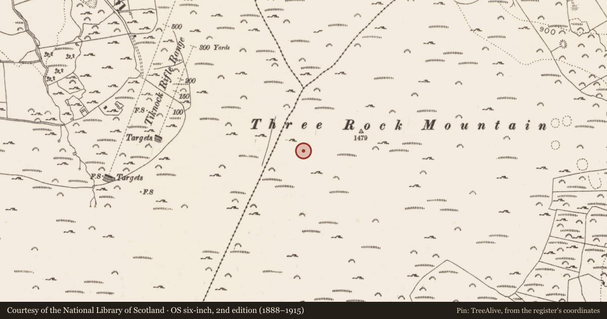Ordnance Survey six-inch map, 2nd edition (1888–1915) covering the location of Enclosure, Ballyedmonduff, County Dublin, with a pin at the register's coordinates