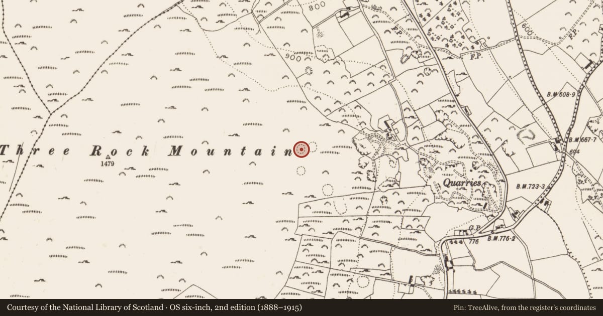 Ordnance Survey six-inch map, 2nd edition (1888–1915) covering the location of Enclosure, Ballyedmonduff, County Dublin, with a pin at the register's coordinates