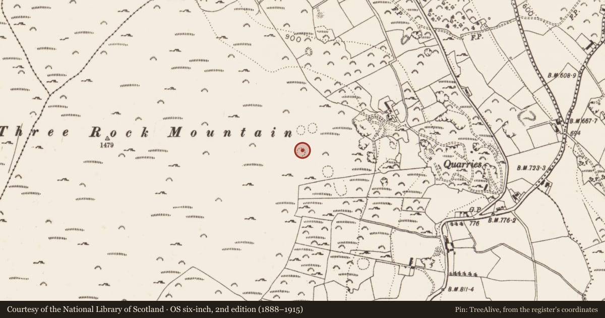 Ordnance Survey six-inch map, 2nd edition (1888–1915) covering the location of Enclosure, Ballyedmonduff, County Dublin, with a pin at the register's coordinates