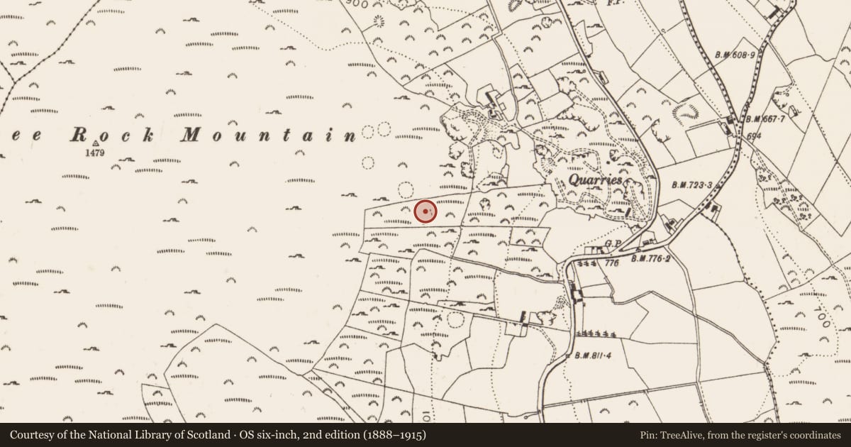 Ordnance Survey six-inch map, 2nd edition (1888–1915) covering the location of Enclosure, Ballyedmonduff, County Dublin, with a pin at the register's coordinates