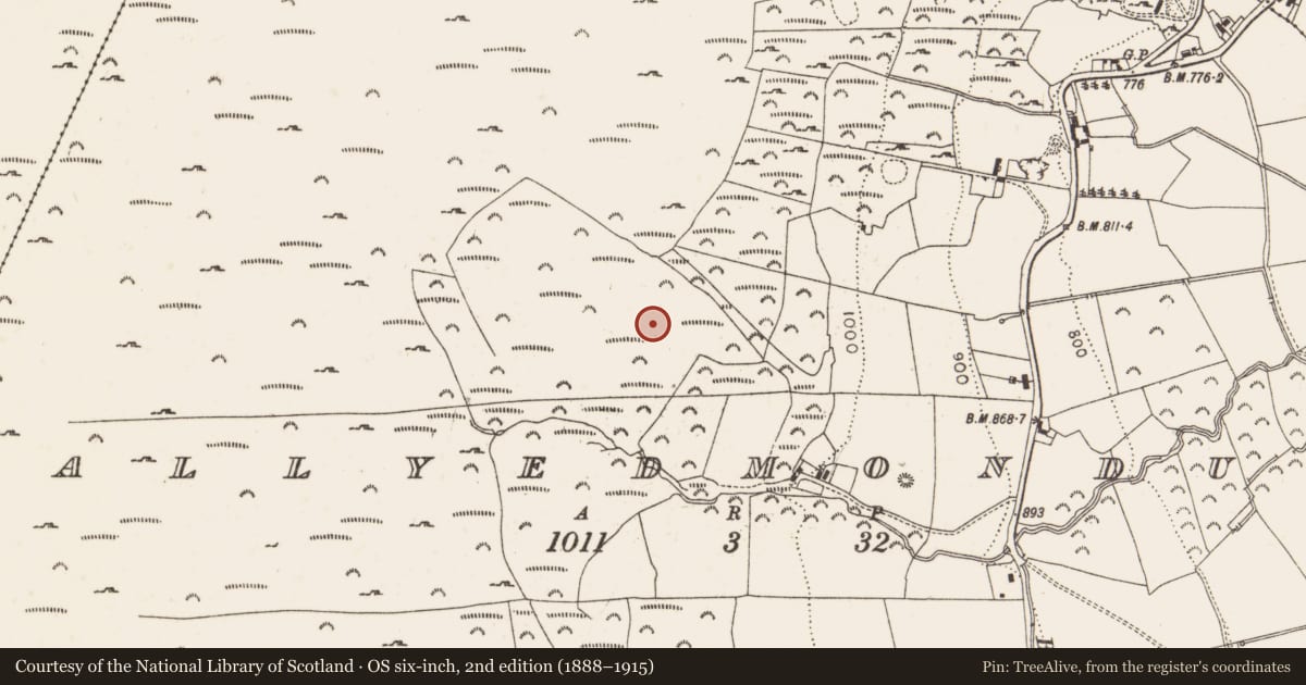 Ordnance Survey six-inch map, 2nd edition (1888–1915) covering the location of Enclosure, Ballyedmonduff, County Dublin, with a pin at the register's coordinates