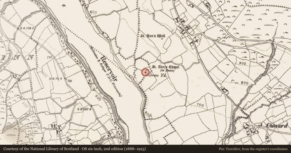 Ordnance Survey six-inch map, 2nd edition (1888–1915) covering the location of Graveyard, Glassavullaun, County Dublin, with a pin at the register's coordinates