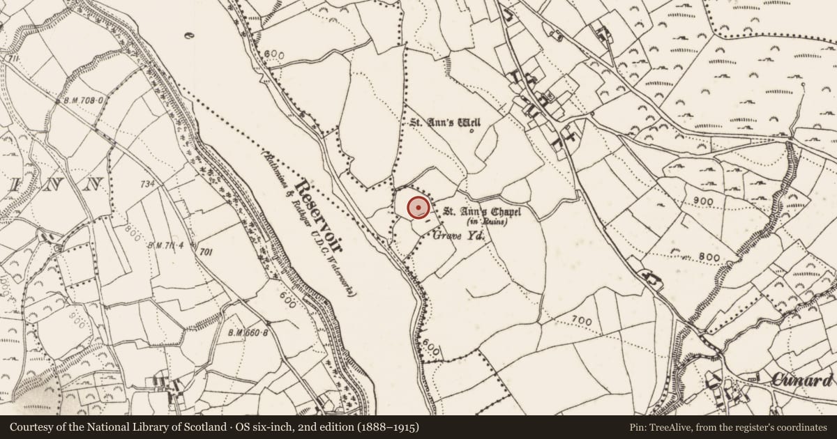 Ordnance Survey six-inch map, 2nd edition (1888–1915) covering the location of Ecclesiastical enclosure, Glassavullaun, County Dublin, with a pin at the register's coordinates