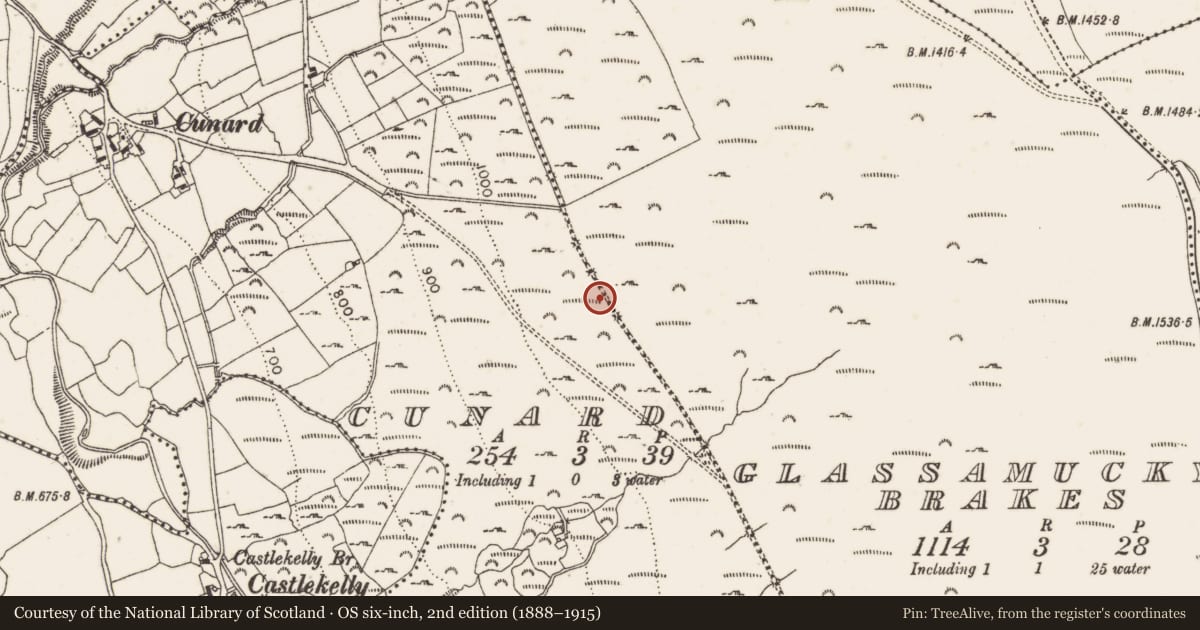 Ordnance Survey six-inch map, 2nd edition (1888–1915) covering the location of Field system, Cunard, County Dublin, with a pin at the register's coordinates