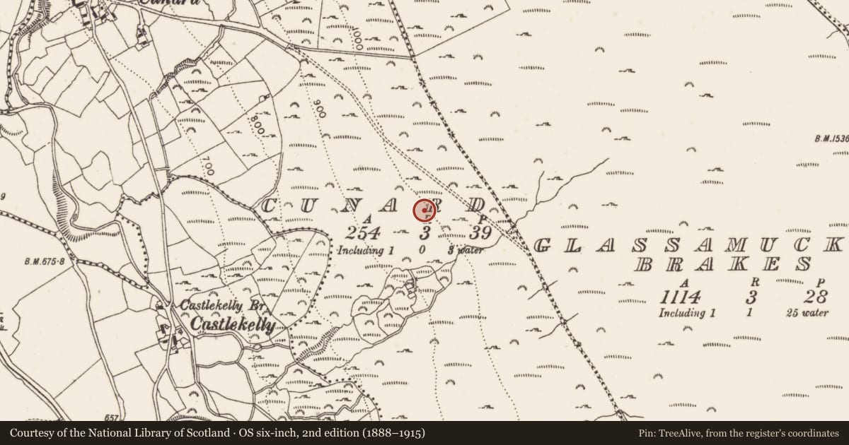 Ordnance Survey six-inch map, 2nd edition (1888–1915) covering the location of Enclosure, Cunard, County Dublin, with a pin at the register's coordinates