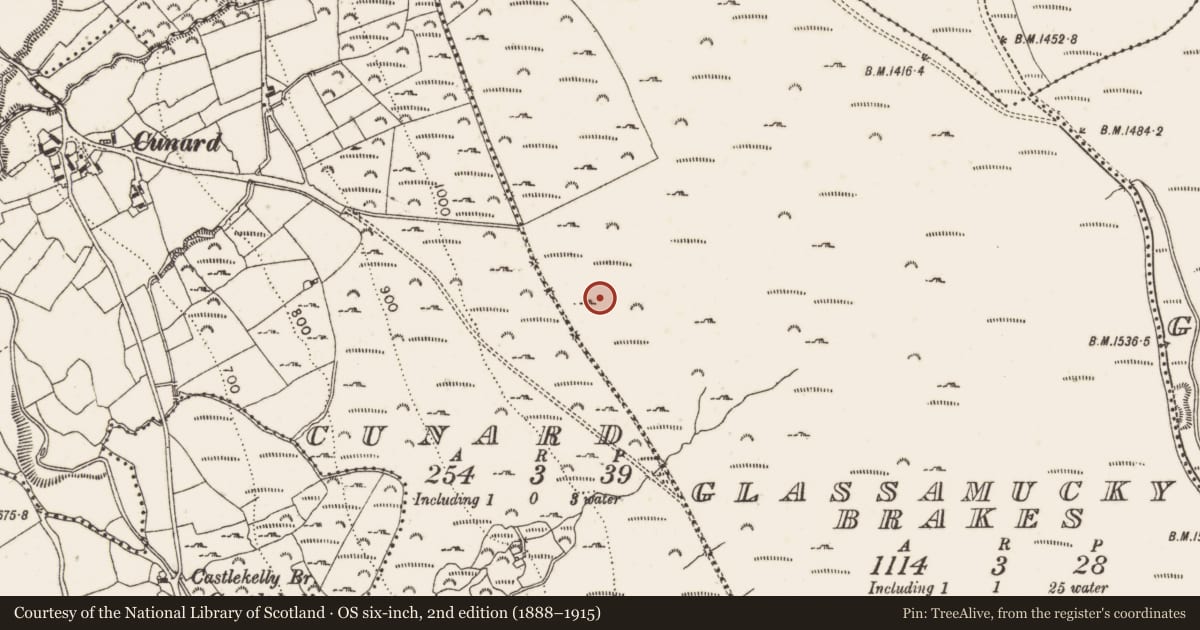 Ordnance Survey six-inch map, 2nd edition (1888–1915) covering the location of Hut site, Glassamucky Brakes, County Dublin, with a pin at the register's coordinates