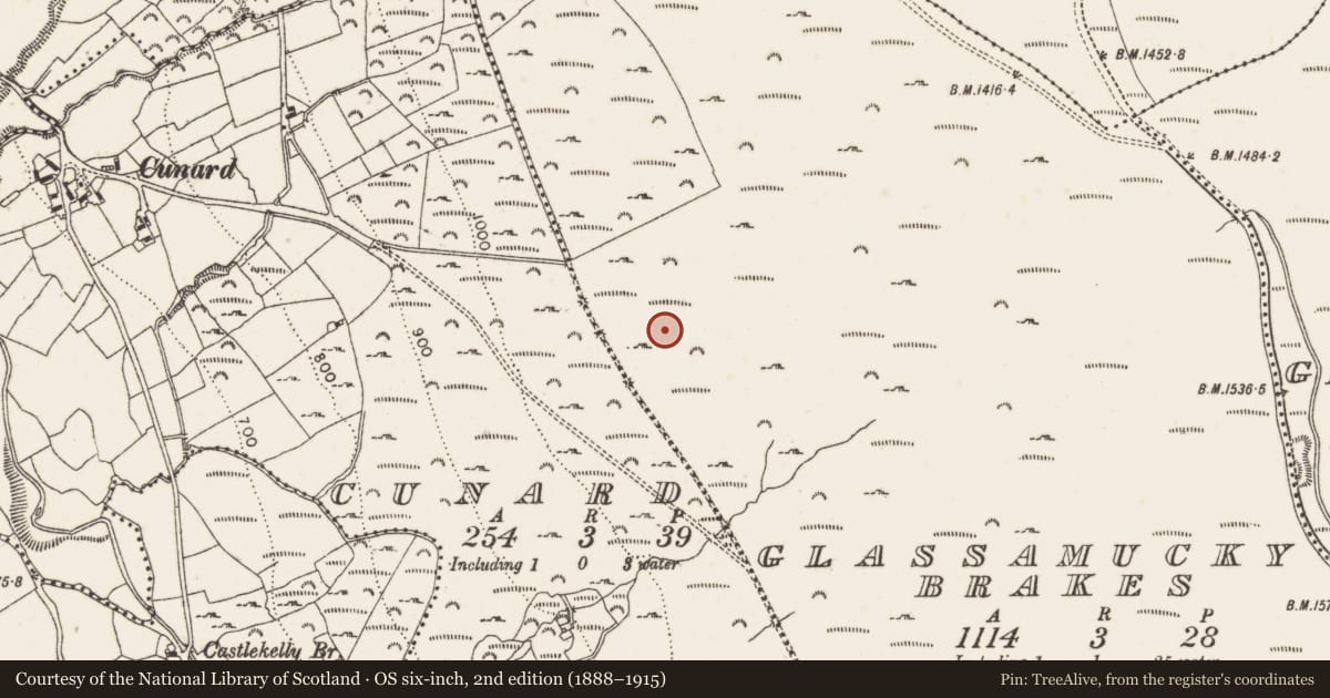 Ordnance Survey six-inch map, 2nd edition (1888–1915) covering the location of Enclosure, Glassamucky Brakes, County Dublin, with a pin at the register's coordinates