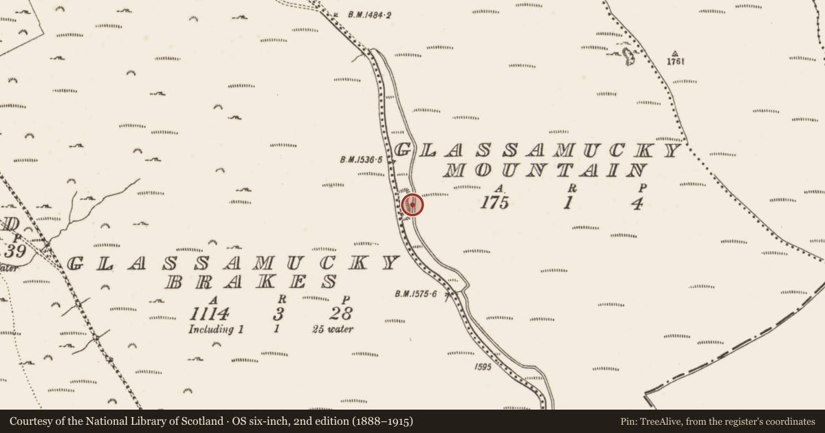 Ordnance Survey six-inch map, 2nd edition (1888–1915) covering the location of Cross-inscribed stone, Glassamucky Mountain, County Dublin, with a pin at the register's coordinates
