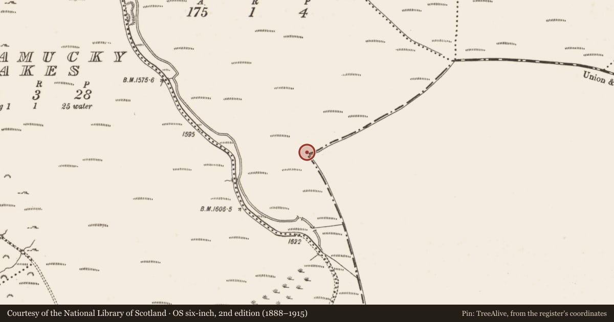 Ordnance Survey six-inch map, 2nd edition (1888–1915) covering the location of Bullaun stone, Glassamucky Mountain, County Dublin, with a pin at the register's coordinates