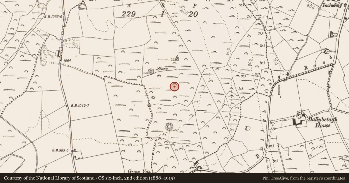 Ordnance Survey six-inch map, 2nd edition (1888–1915) covering the location of Cultivation ridges, Newtown, Glencullen, County Dublin, with a pin at the register's coordinates