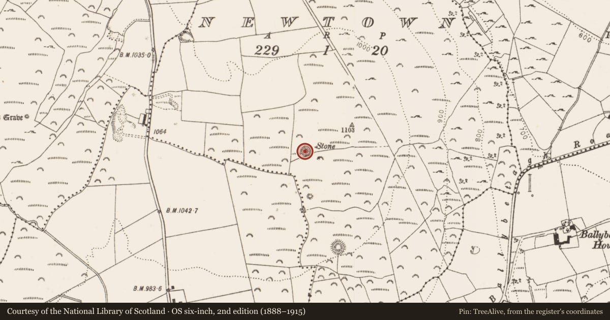 Ordnance Survey six-inch map, 2nd edition (1888–1915) covering the location of Barrow - unclassified, Newtown, County Dublin, with a pin at the register's coordinates