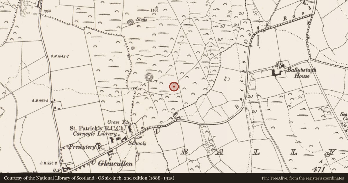 Ordnance Survey six-inch map, 2nd edition (1888–1915) covering the location of Megalithic tomb - unclassified, Newtown Little, County Dublin, with a pin at the register's coordinates
