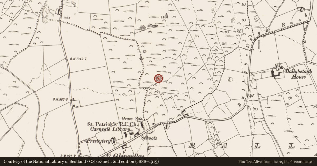 Ordnance Survey six-inch map, 2nd edition (1888–1915) covering the location of Ringfort - cashel, Newtown, County Dublin, with a pin at the register's coordinates