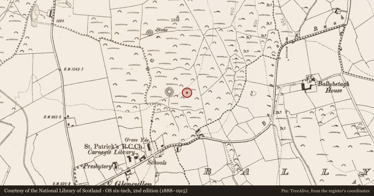 Ordnance Survey six-inch map, 2nd edition (1888–1915) covering the location of Field system, Newtown, County Dublin, with a pin at the register's coordinates