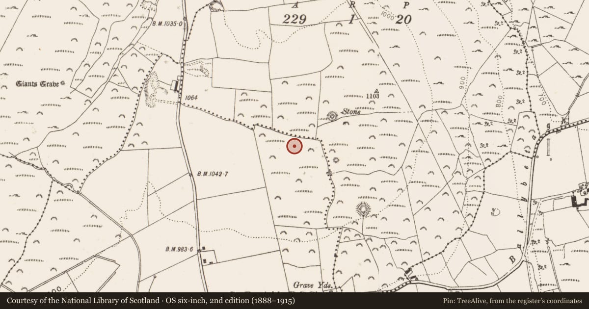 Ordnance Survey six-inch map, 2nd edition (1888–1915) covering the location of Road - road/trackway, Newtown, Glencullen, County Dublin, with a pin at the register's coordinates