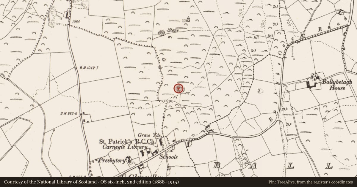 Ordnance Survey six-inch map, 2nd edition (1888–1915) covering the location of House - medieval, Newtown, County Dublin, with a pin at the register's coordinates