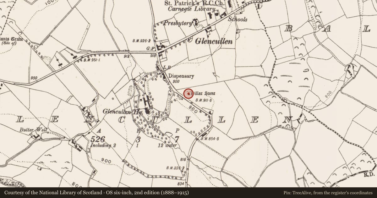 Ordnance Survey six-inch map, 2nd edition (1888–1915) covering the location of Standing stone, Glencullen, County Dublin, with a pin at the register's coordinates