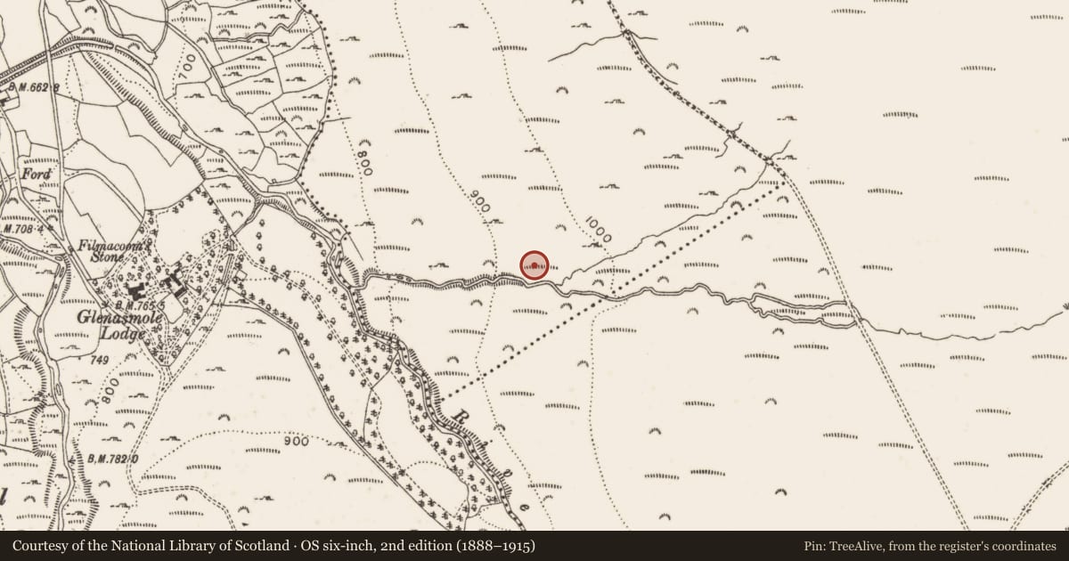 Ordnance Survey six-inch map, 2nd edition (1888–1915) covering the location of Megalithic tomb - portal tomb, Cunard, County Dublin, with a pin at the register's coordinates