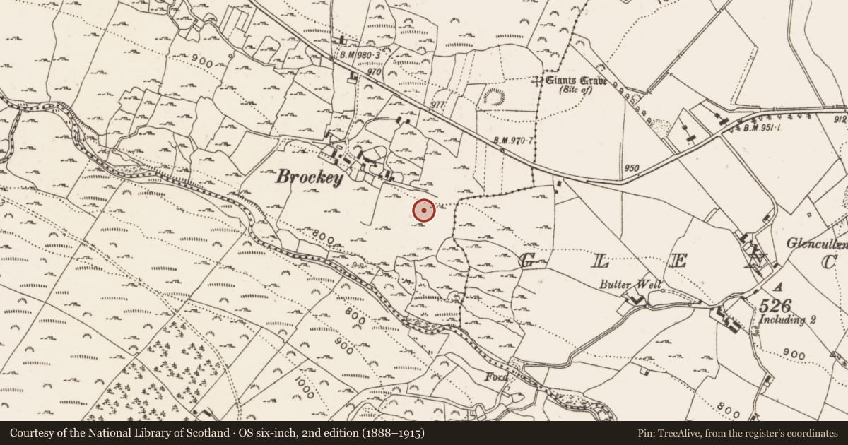 Ordnance Survey six-inch map, 2nd edition (1888–1915) covering the location of Ringfort - unclassified, Ballybrack, County Dublin, with a pin at the register's coordinates