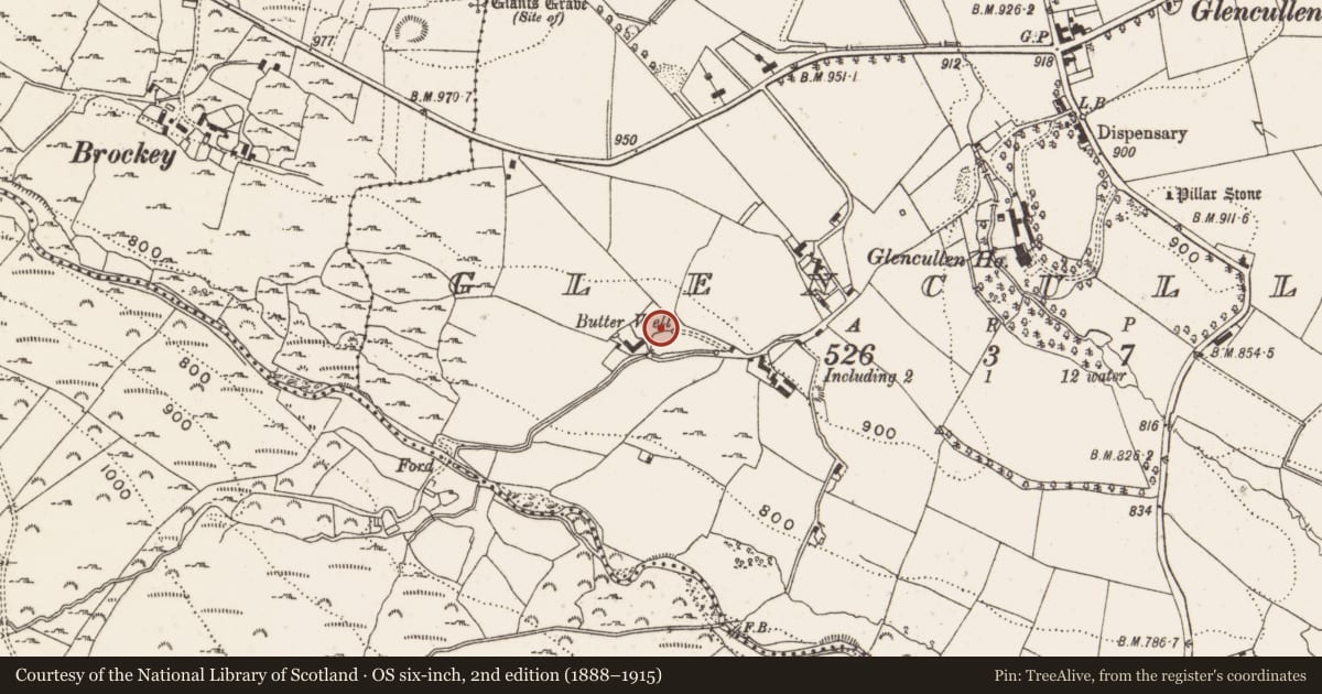 Ordnance Survey six-inch map, 2nd edition (1888–1915) covering the location of Well, Glencullen, County Dublin, with a pin at the register's coordinates