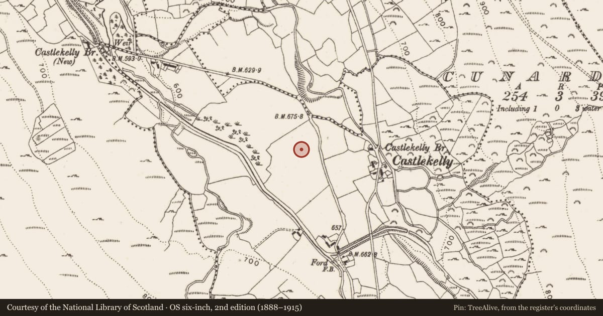 Ordnance Survey six-inch map, 2nd edition (1888–1915) covering the location of Castle - unclassified, Castlekelly, County Dublin, with a pin at the register's coordinates